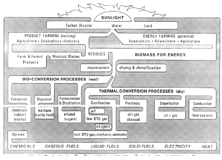Biomass Conversion Paths